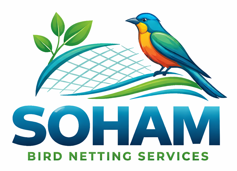 Soham Bird Netting Services