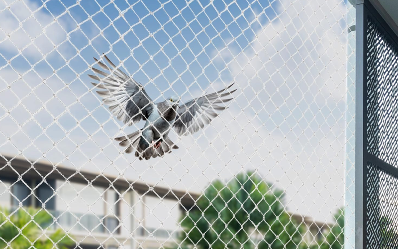 Bird Netting Services