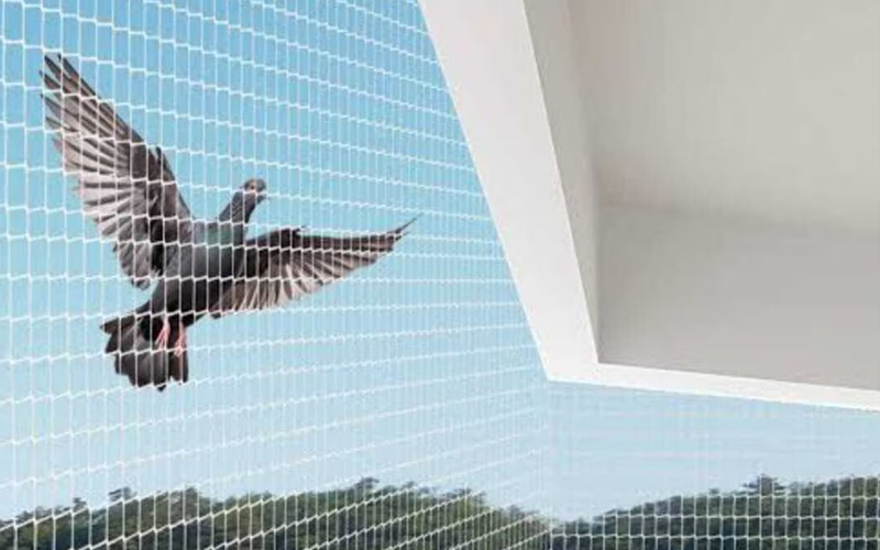 Anti Bird Net